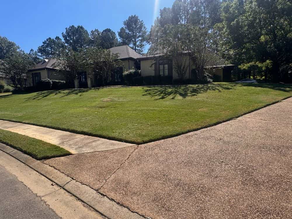 Hero image for Advanced Lawn Providers