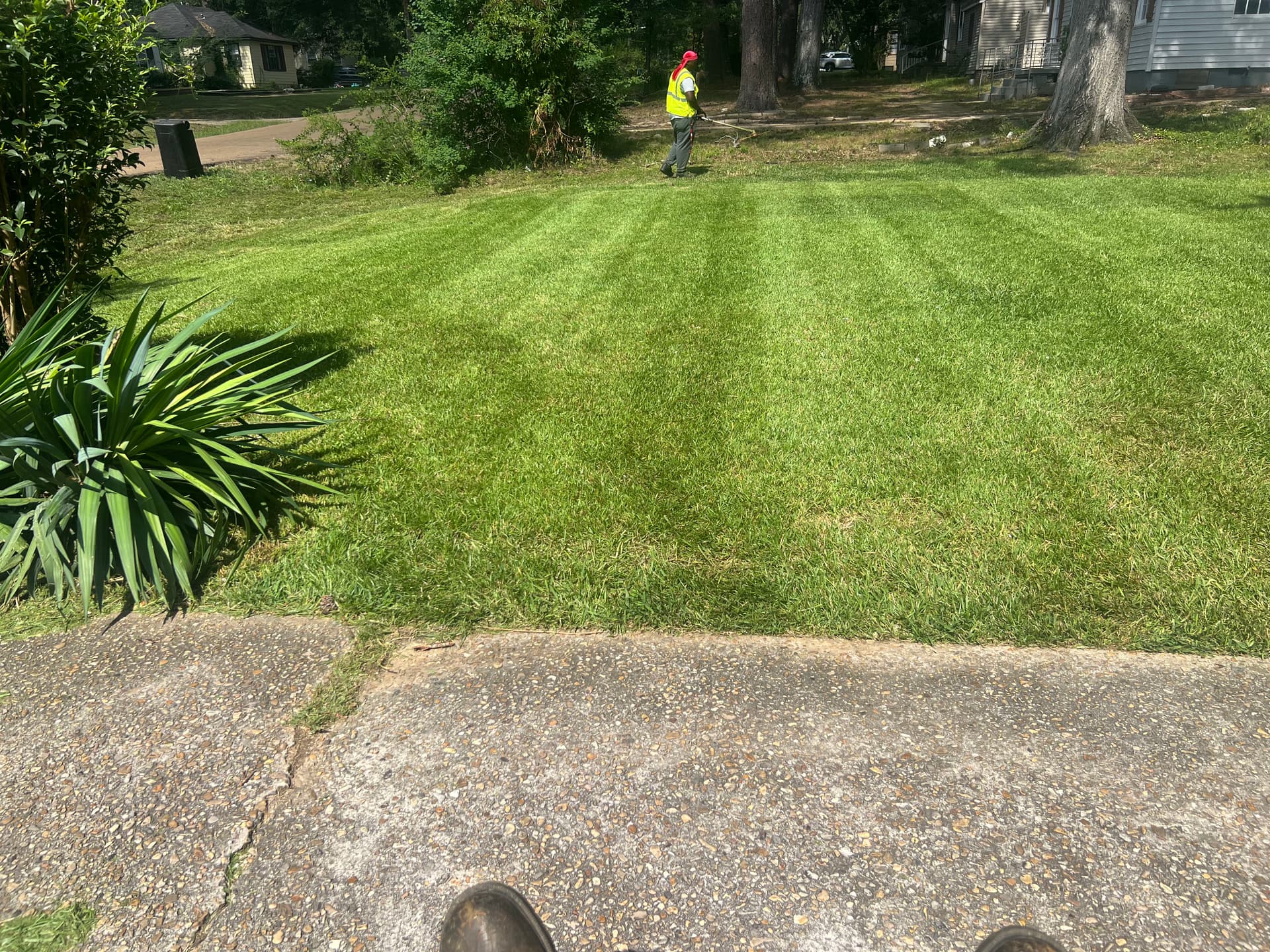 Precision Lawn Care for North Jackson
