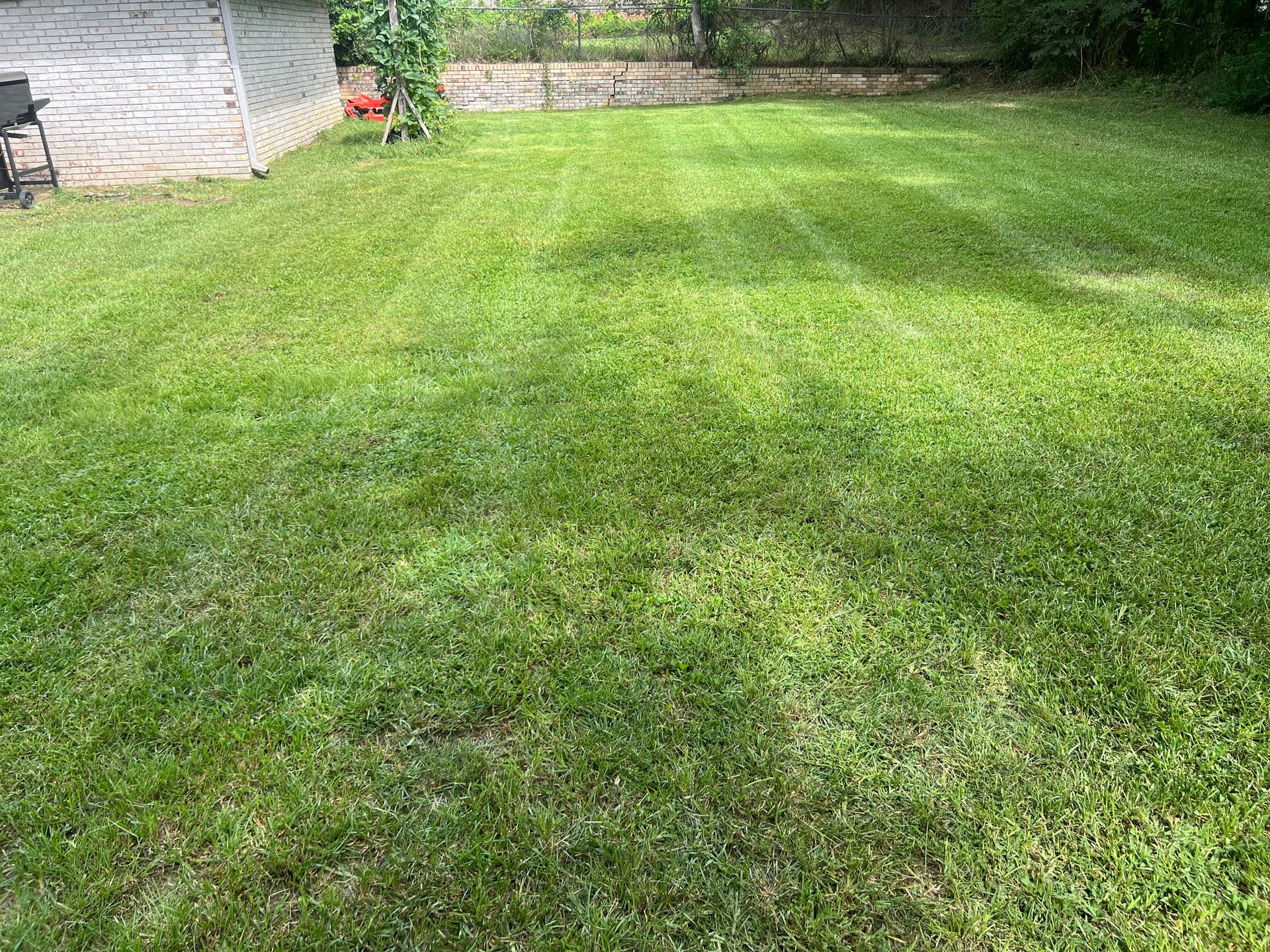 Gallery photos for Pristine Lawn Mowing in Clinton MS: Image #2