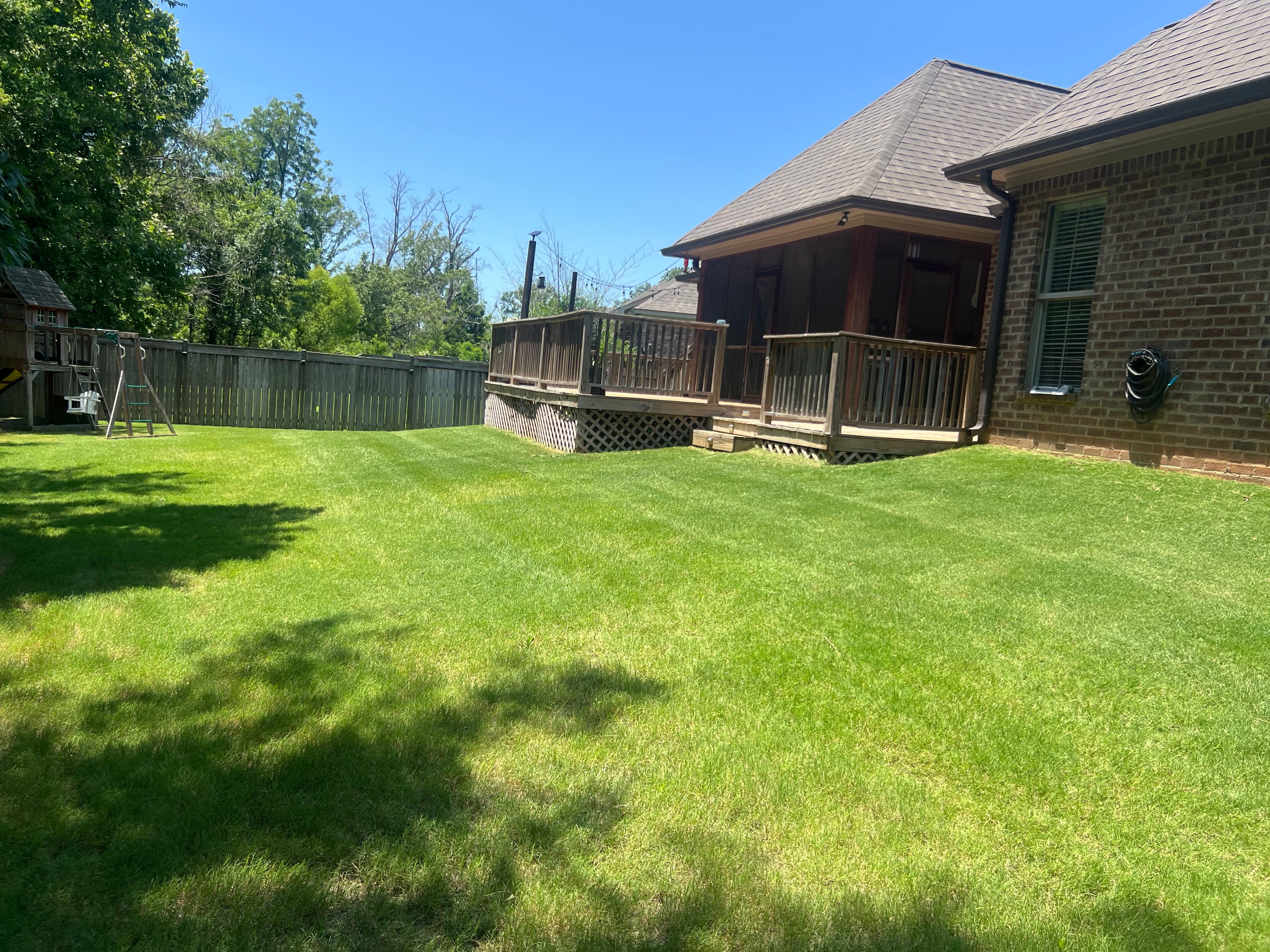 Project Transform Your Backyard with Advanced Lawn Providers image