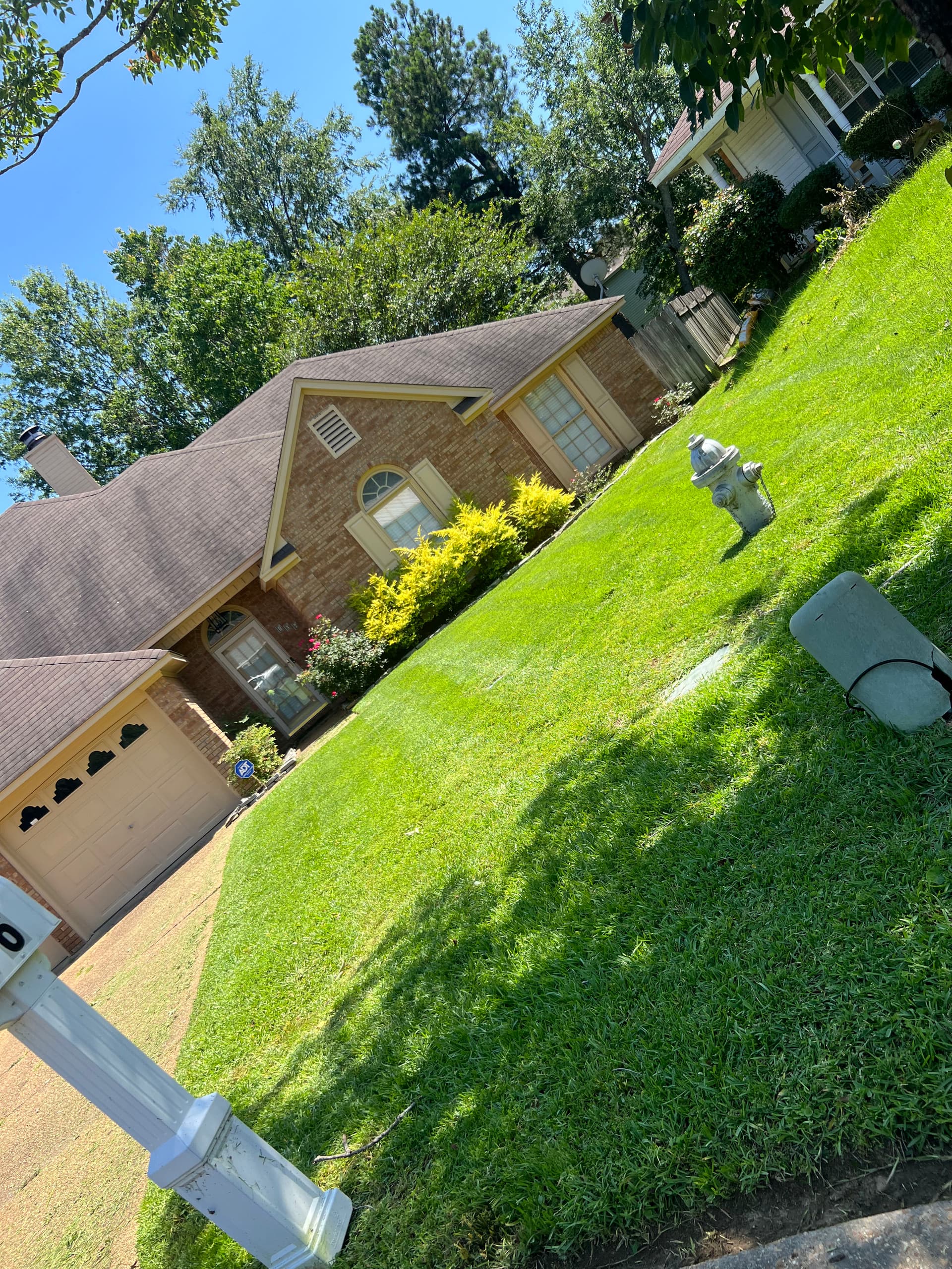 Immaculate Lawn Mowing for Perfect Curb Appeal in Clinton MS