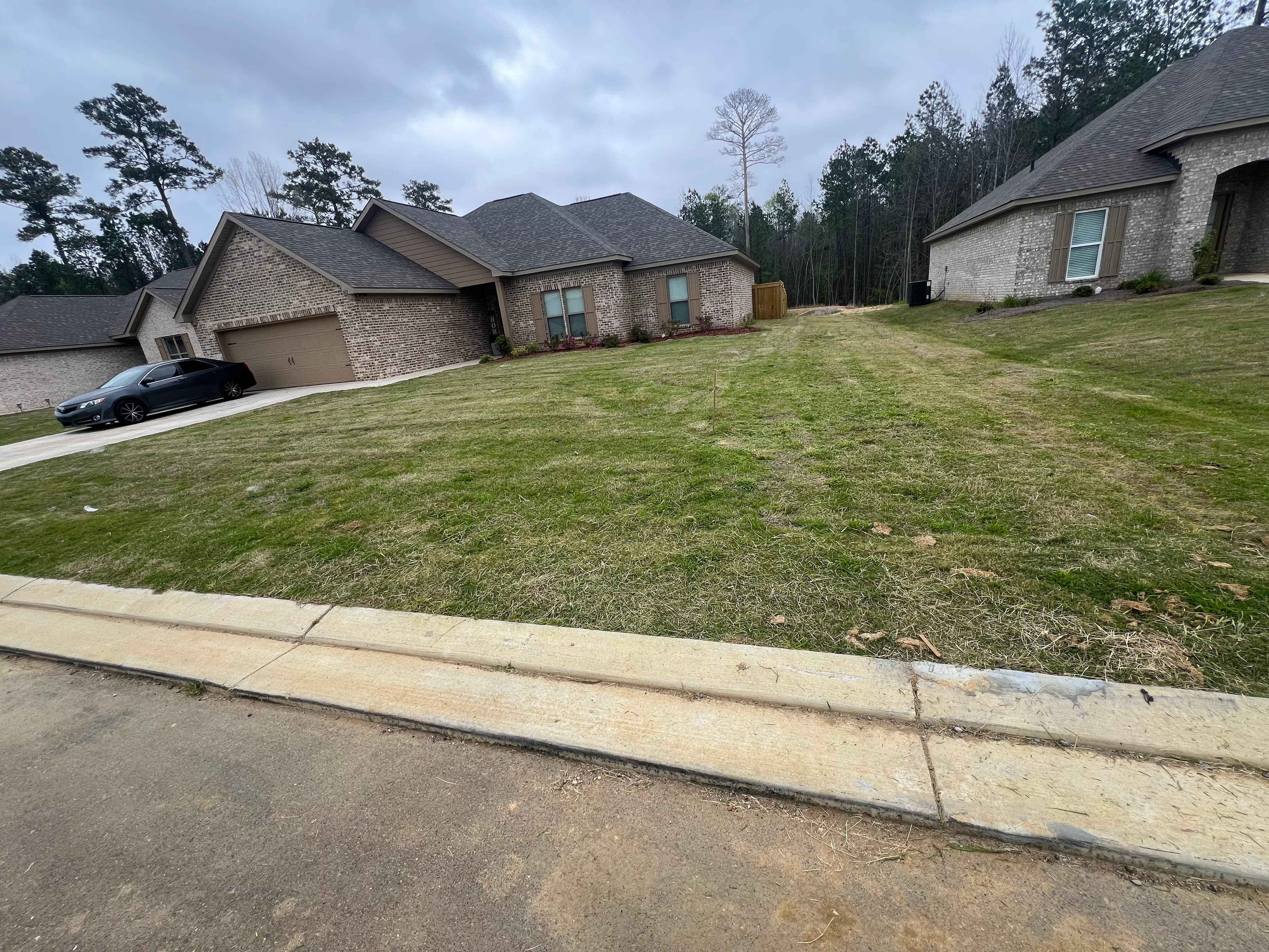 Project Lawn Mowing Excellence in the Neighborhood image