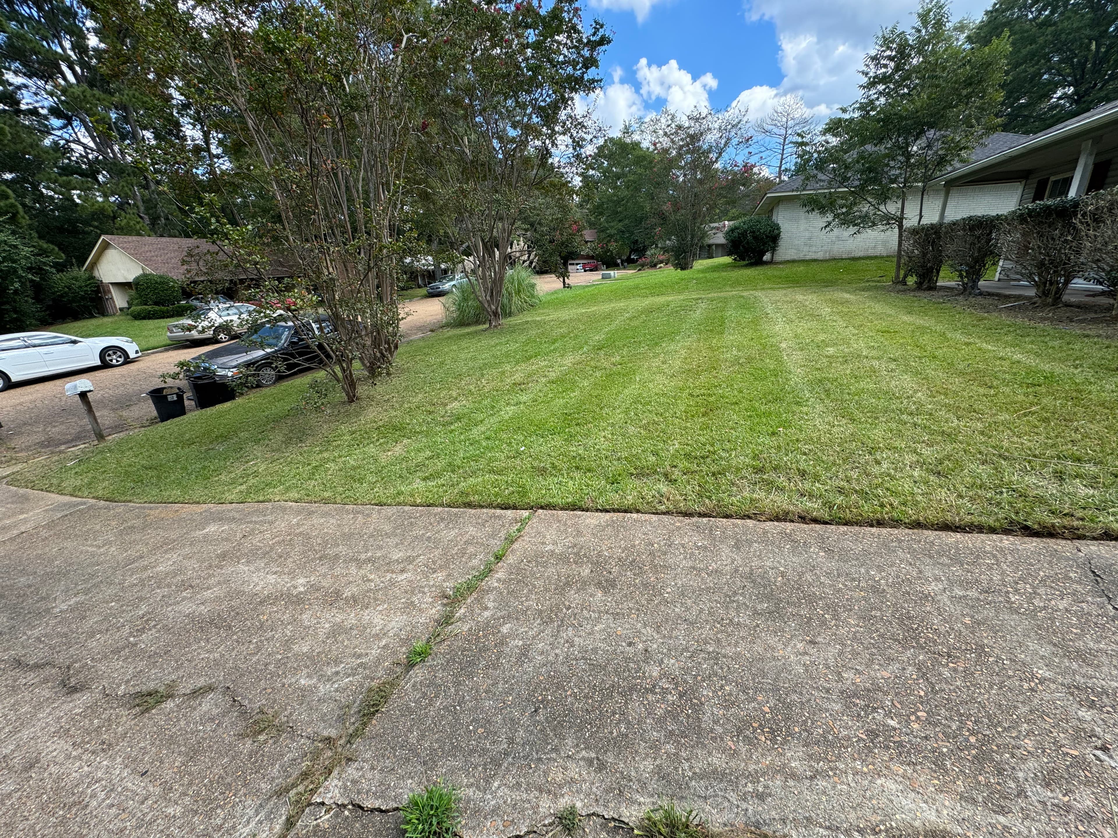 Top-Notch Lawn Care in Jackson MS