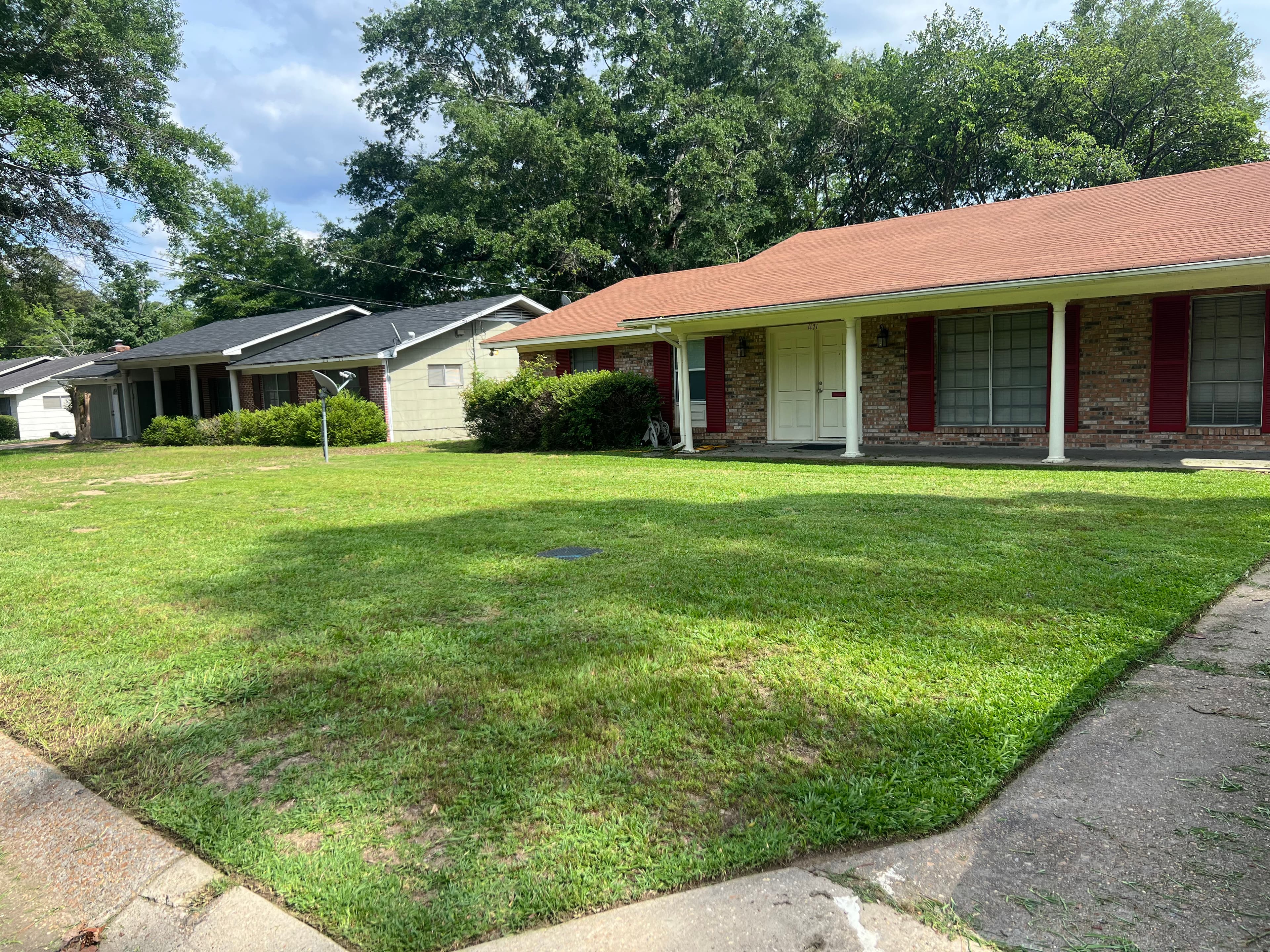 Project Pristine Lawn Care in North Jackson image