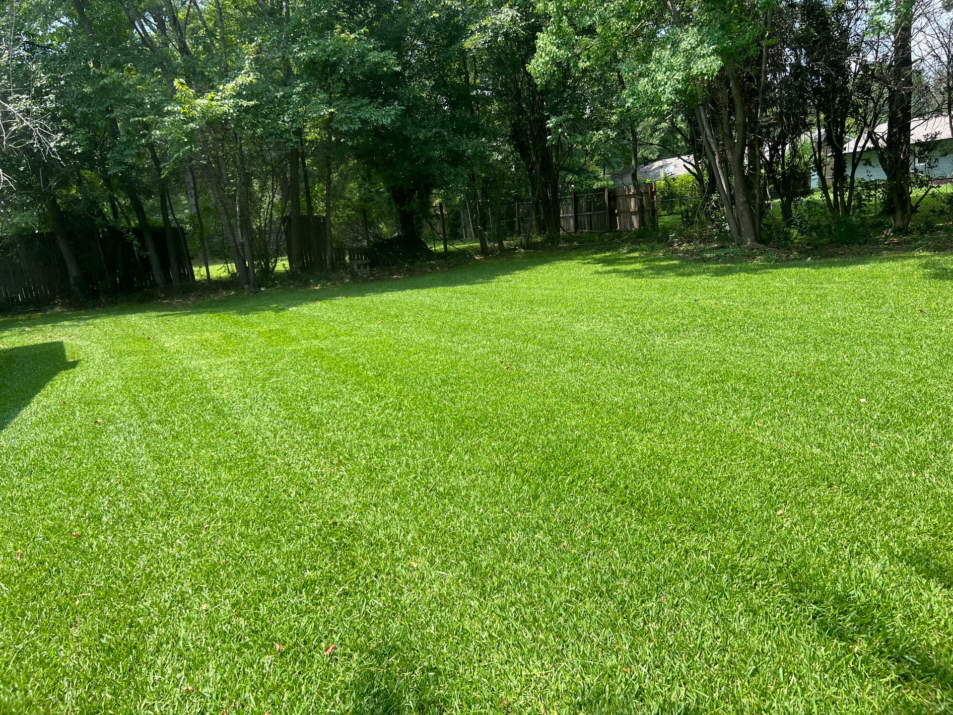 Gallery photos for Stunning Suburban Yard Makeover in Pearl MS: Image #2