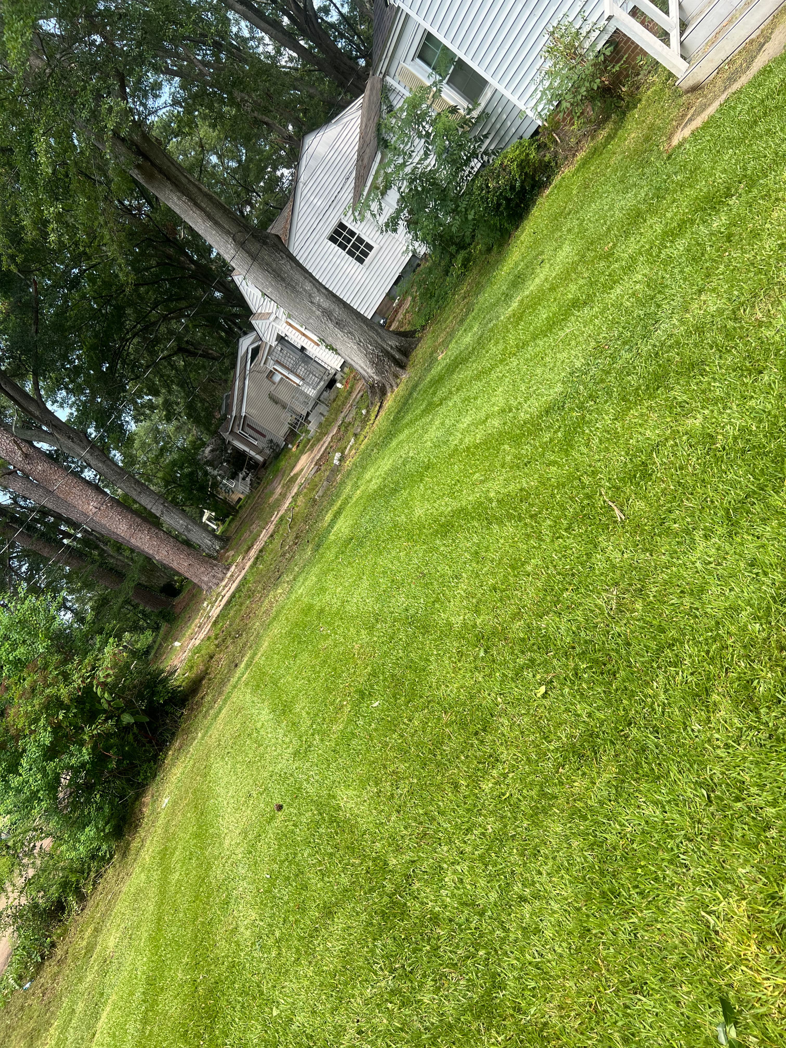 Project Lush Lawn Care in Your Hometown image