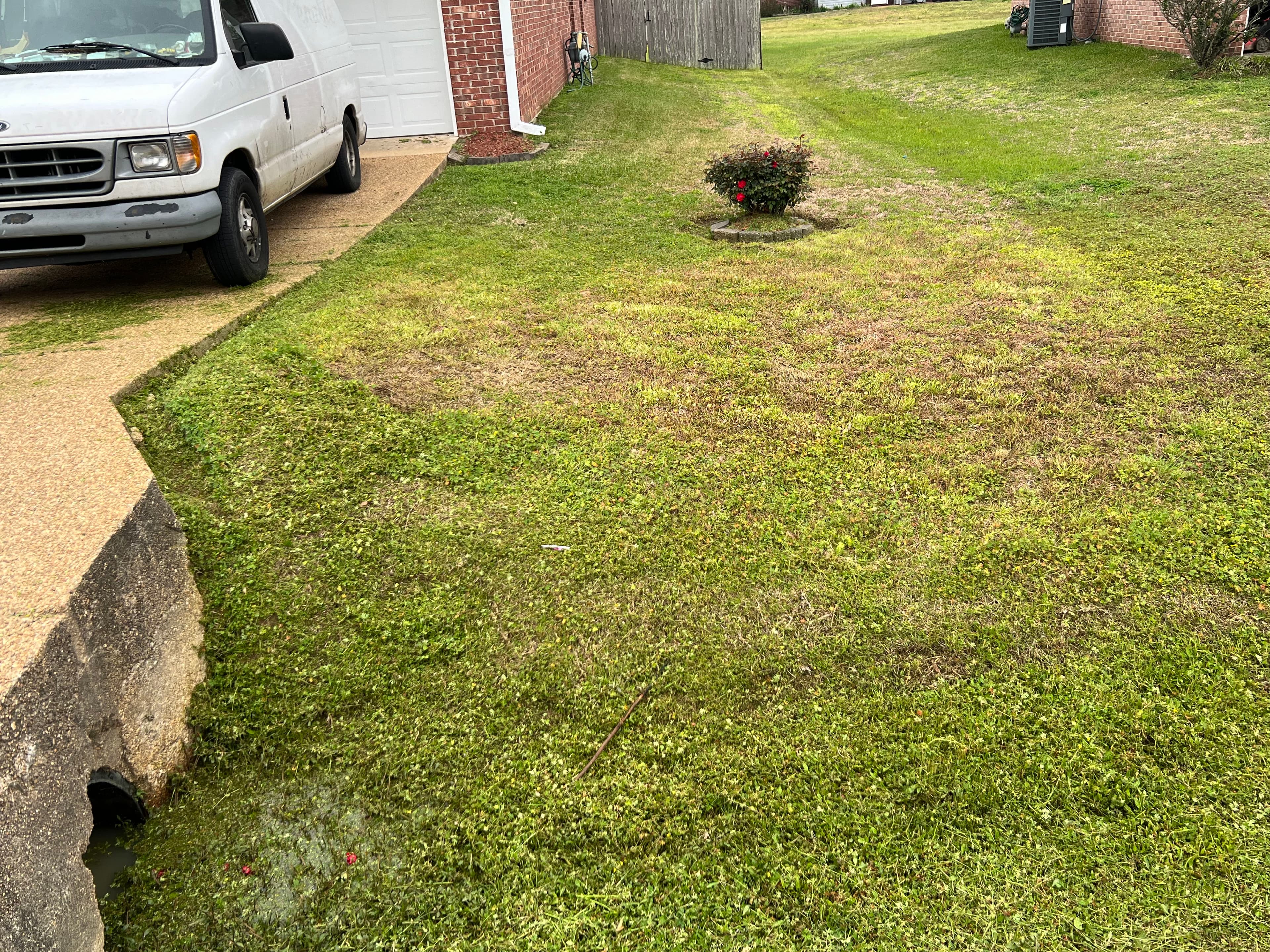 Project Achieving the Perfect Lawn with Expert Mowing image