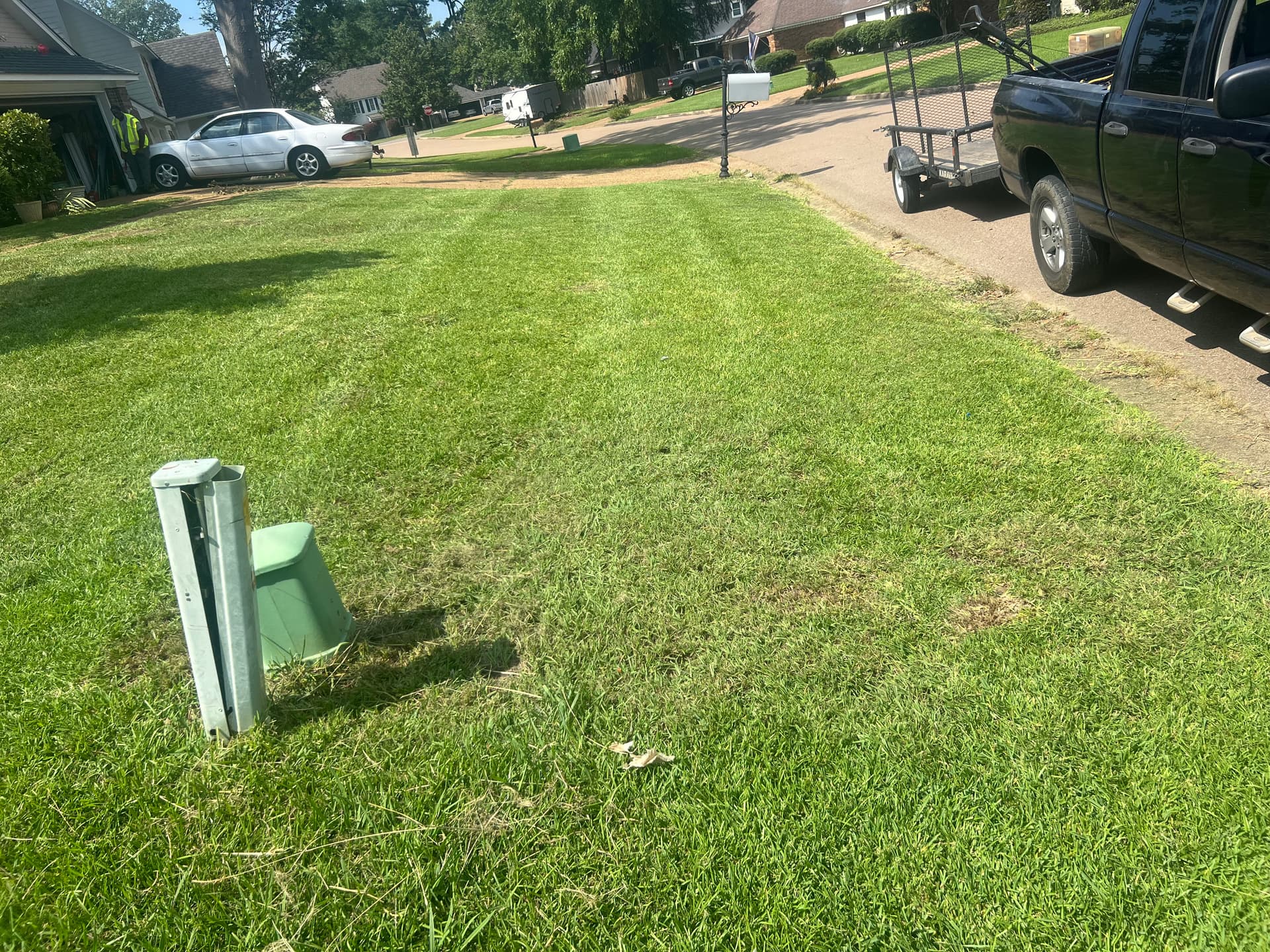 Lawn Mowing Excellence in Brandon MS