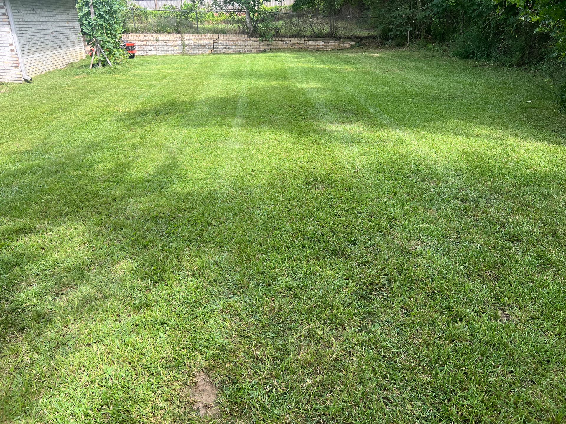 Gallery photos for Pristine Lawn Mowing in Clinton MS: Image #3