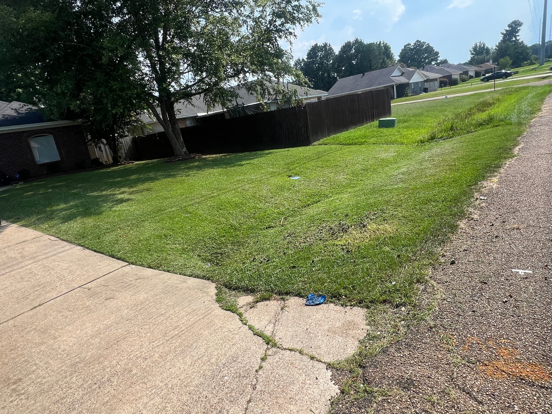 Gallery photos for Stunning Suburban Yard Makeover in Pearl MS: Image #1