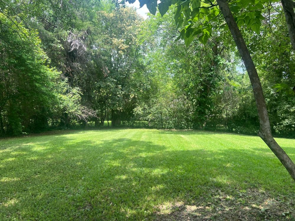 Contact form background